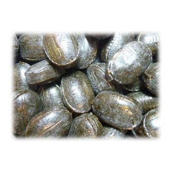 Pick and Mix Sweets -Bonfire Toffee, treacle flavour traditional boiled sweets!